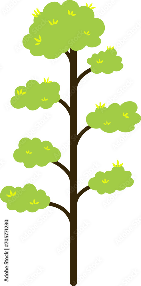 Fototapeta premium Set of Tree Vector Illustration