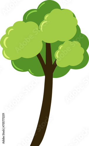 Set of Tree Vector Illustration