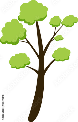 Set of Tree Vector Illustration