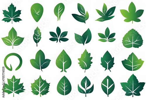 Leaves collection eco, Green leaves flat icon set, nature illustration and backgrounds, v2 photo