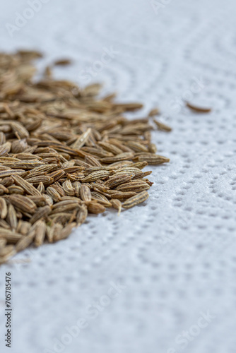 Cumin Jeera spice background. close-up view of zira. Cumin seeds from above. High angle photo of zira jeera cumin spices photo