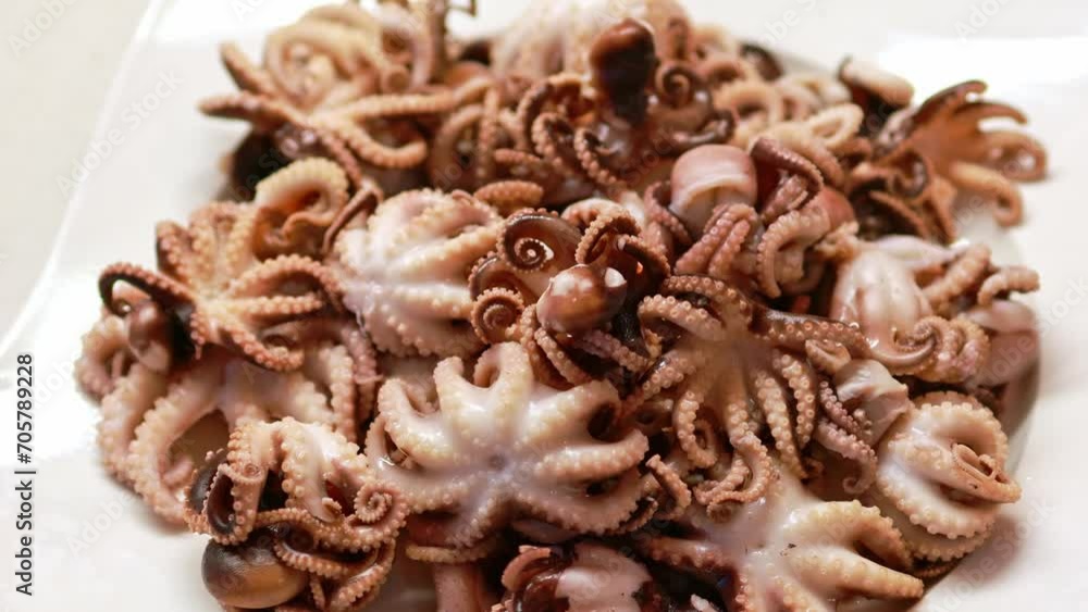 Boiled small octopuses. Seafood. Delicacy Boiled small octopuses. Seafood. Delicacy
