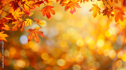 autumn forest leaves background horizontal landscape. landing page  minimalistic  copy space