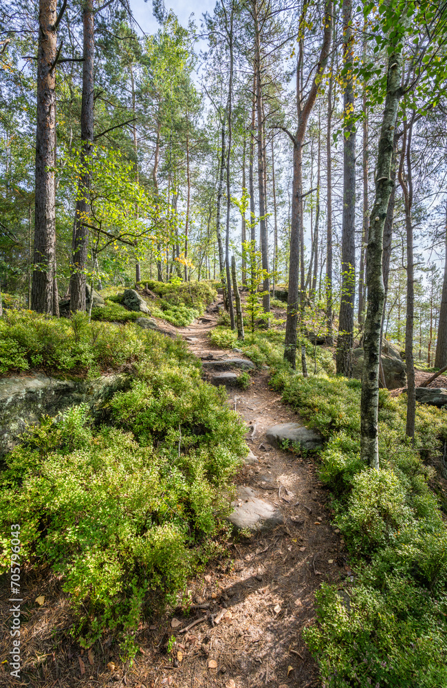 Hiking along the Malerweg hiking trail in Saxon Switzerland, Saxony, Germany Hiking along the Malerweg hiking trail in Saxon Switzerland, Saxony, Germany