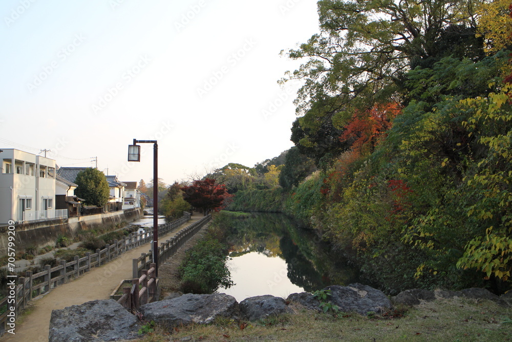 Senhime's path and autumn leaves in the early morning in Himeji, Japan Senhime's path and autumn leaves in the early morning in Himeji, Japan