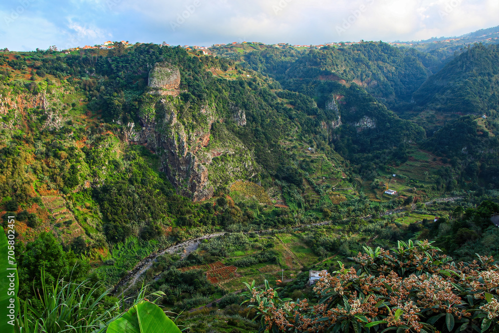 Lush valley of Sao Jorge on the north coast of Madeira island (Portugal) in the Atlantic Ocean