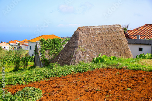 Traditional rural Madeirense farmhouse in Santana, built during the settlement of Madeira island in the Atlantic Ocean by the Portuguese. Is has sloping triangular rooftops, protected by straw