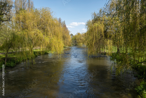 River Kennet in spring sunlight and lined with trees, Marsh Benham, near Newbury, Berkshire, England, United Kingdom, Europe