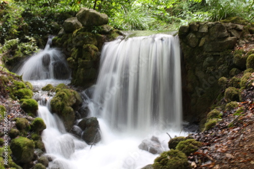 waterfall in the forest