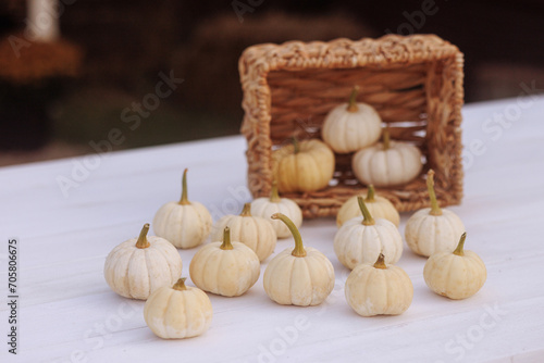 Mini pumpkins spill from a woven basket onto a white surface, creating an autumnal scene. Concept for fall decorations or harvest festivals. Copy space available.