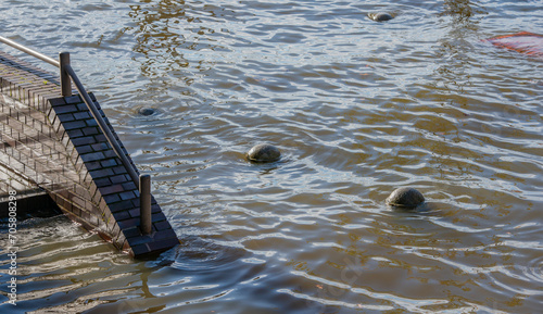 Sturmflut und Elbe Hochwasser am Hamburger Hafen St. Pauli Fischmarkt Fischauktionshalle