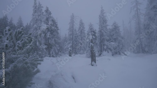 Walking in Sudety mountains during snow storm