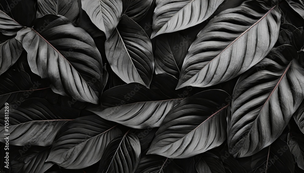 textures of abstract black leaves for tropical leaf background flat lay dark nature concept tropical leaf digital ai - obrazy, fototapety, plakaty 