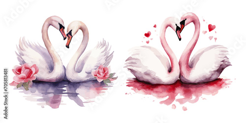 pink and white love swans making heart shape