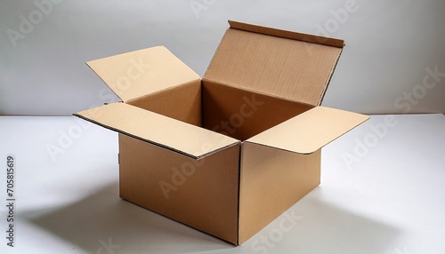open plain brown blank cardboard box on white background photo © Katherine
