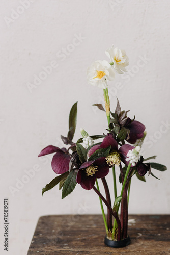 Beautiful helleborus, muscari and daffodil composition on kenzan on aged wooden background. Spring flowers rustic still life. First spring flowers gardening