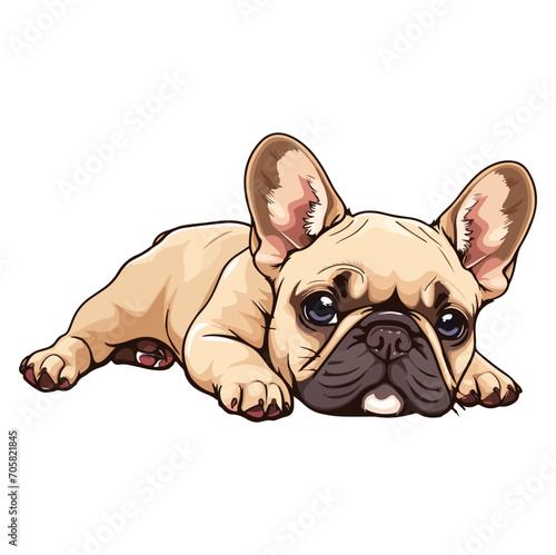 french bulldog puppy lying down