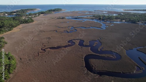 Wallpaper Mural Aerial drone view of swamp marsh and heavy vegetation in a tropical ecosystem on the edge of the United States coastline into the Gulf of Mexico, with roads, rivers, ocean water, and natural landscape Torontodigital.ca
