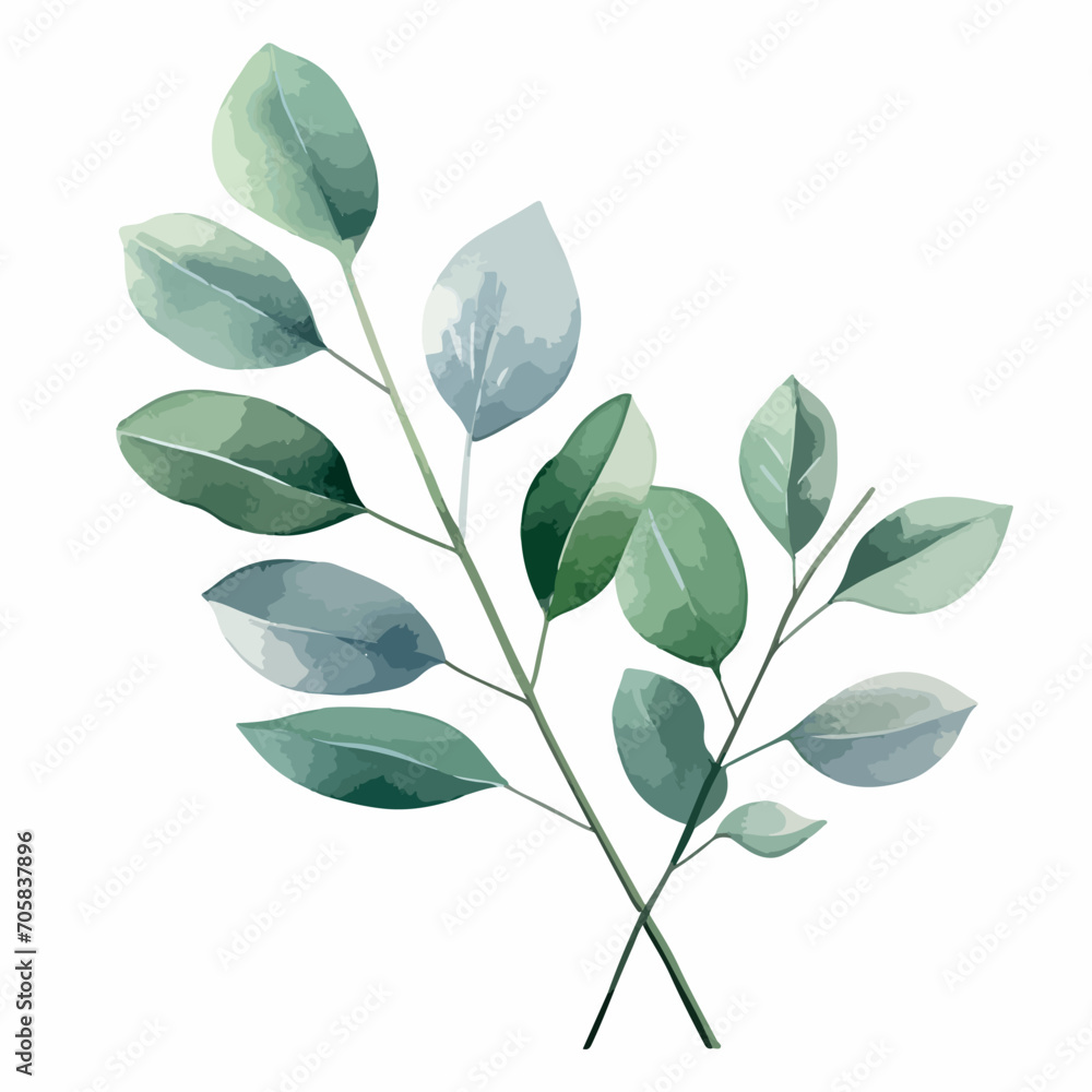 Watercolor vector illustration of a wreath made of green eucalyptus leaves and branches.