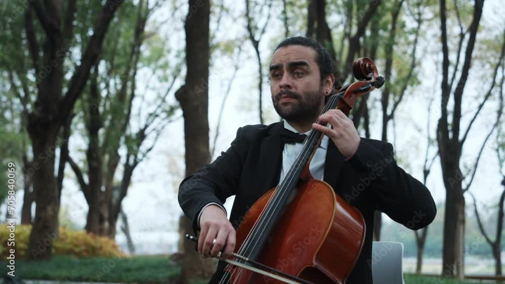 person playing the cello person playing the cello