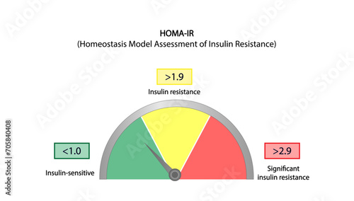 HOMA-IR (Homeostatic Model Assessment for Insulin Resistance). Low, Borderline and High diabetes risk. Insulin resistance. Vector illustration. photo