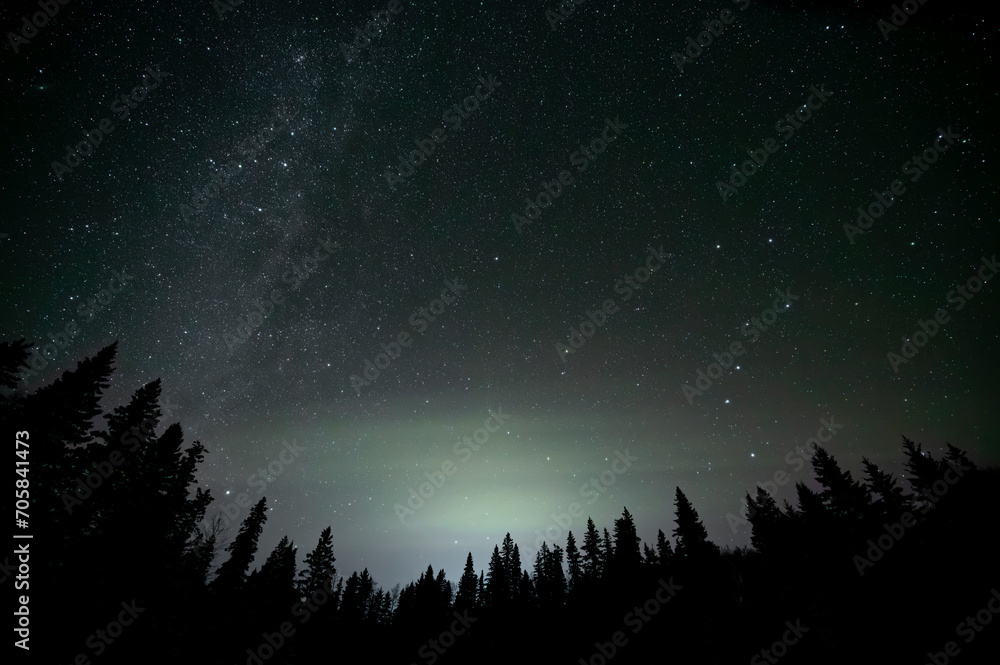 Wide angle view looking up at the night sky with many stars including the milky way and the big dipper. The foreground is a silhouette of pine and spruce trees.
