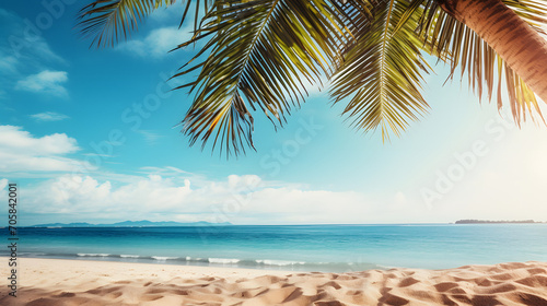 palm tree on the beach © Chandler