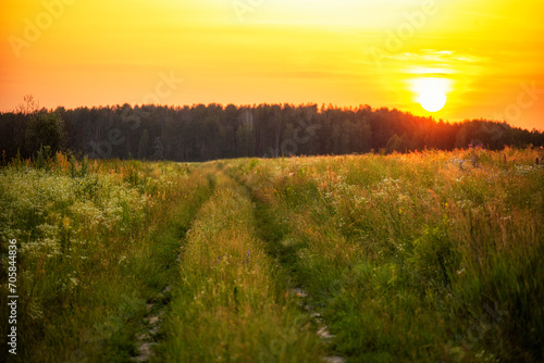 A dirt road in a green field lush with wild flowers and daisies at sunset. The sun setting behind the forest in the distance