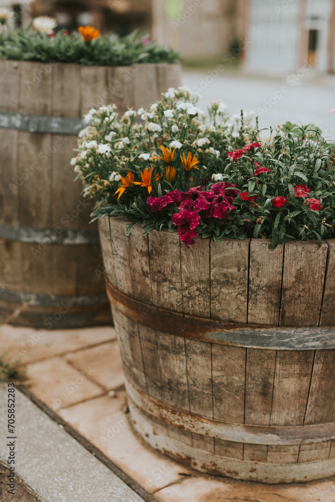 Wooden Barrel full of colorful flowers