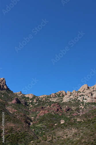 The critically imperiled chaparral plant community helps to stabilize erosion and shape the Santa Monica Mountains.