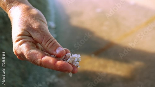 brittany fleur de sel in hand after work Guérande France photo