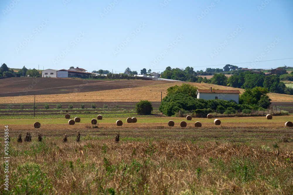 Rural landscape in Sannio, Benevento province, Italy