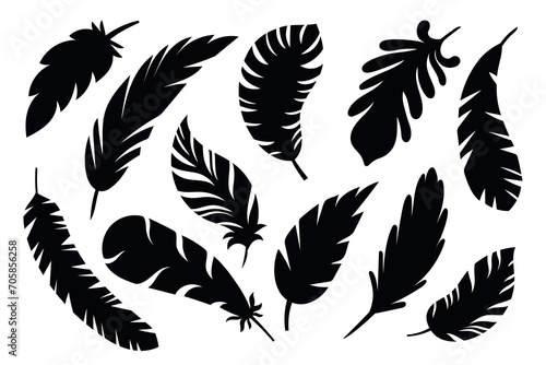 Black feather shapes. simple decorative icons, natural elements silhouettes, birds plumage objects, vintage logo symbols, vector set.eps