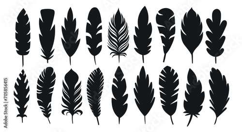 Feathers black silhouettes. Stylized natural elements, different shapes, logo symbols sketches, simple decorative objects, vector set.eps