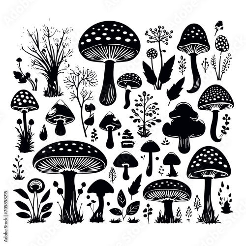 mushroom svg, mushroom png, mushroom illustration, mushroom vector, mushroom, mushroom clipart, jungle svg, forest, t shirt ,mushroom, fungus, nature, vector, food, illustration, autumn, isolated, for