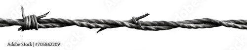 Vászonkép Barbed wire