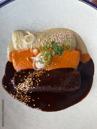 Enchiladas in mole sauce with two pipianes (red and green) stuffed with chicken—a flavorful Mexican dish combining savory chicken, rich mole sauce, and two distinct pumpkin seed sauces.