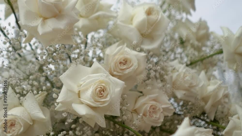 wedding arch of white rose flowers on the river bank before the wedding ceremony of the bride and groom, festive romantic decor wedding arch of white rose flowers on the river bank before the wedding ceremony of the bride and groom, festive romantic decor
