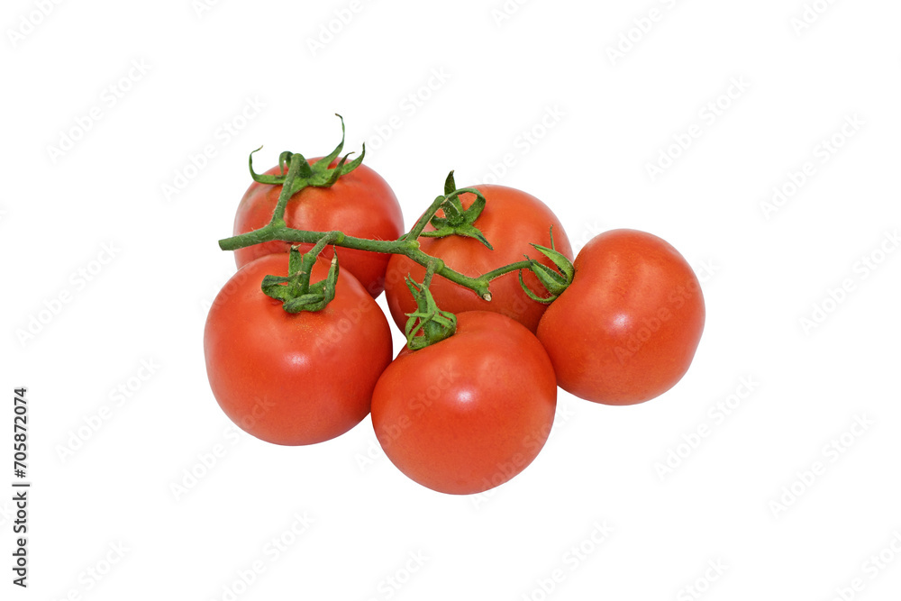 Vine cherry tomatoes with a high sugar to acid ratio, and continue to ripen in storage. Vine cherry tomatoes with a high sugar to acid ratio, and continue to ripen in storage.