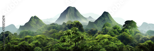 Lush green tropical rainforest landscape with misty mountains at dawn, cut out photo
