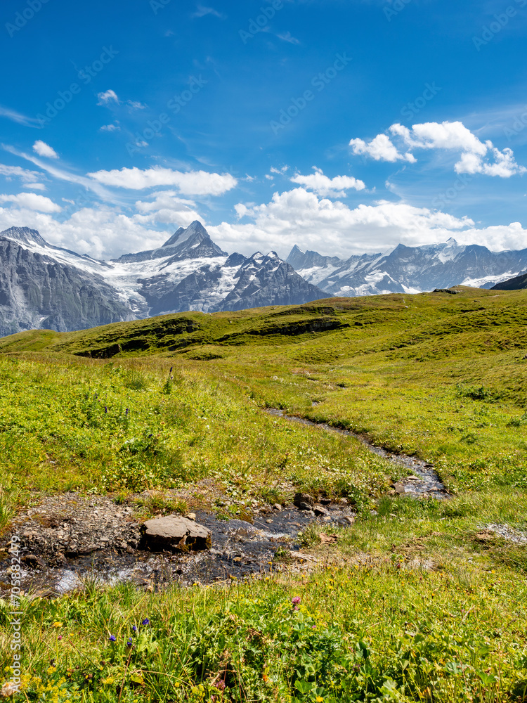 view of the snow-capped mountains from Grindelwald First (Switzerland) in summertime