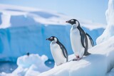 penguins standing on glacier