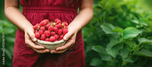 Farmer holding freshly harvested raspberries. Organic crop and agricultural business concept