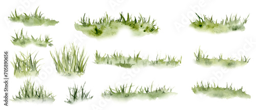 Set of watercolor grass. Hand drawn light green withered herb pattern in the sun. Sketch abstract burnt spring fresh grass kit. Illustration on isolated white background photo