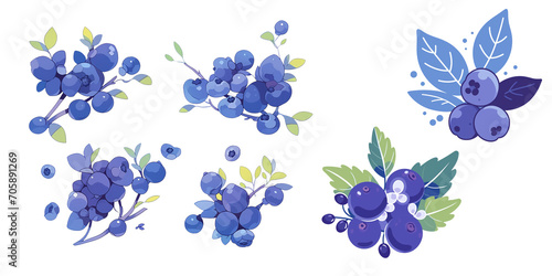 set of Blueberry on transparent background. png file