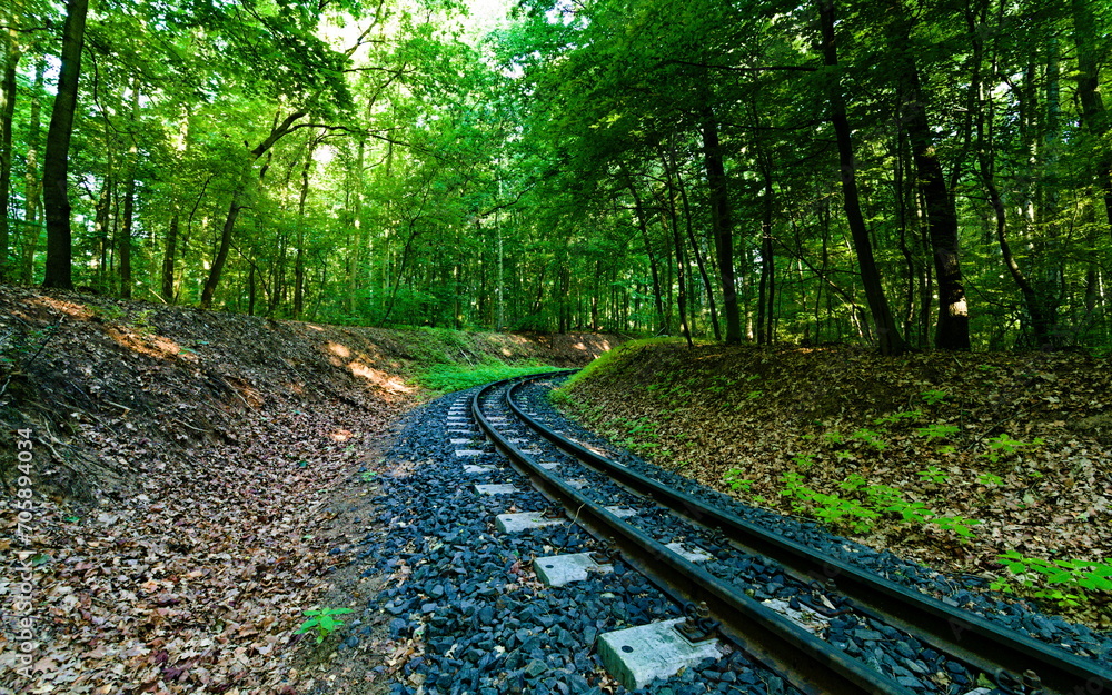 Fototapeta premium tory kolejki wąskotorowej