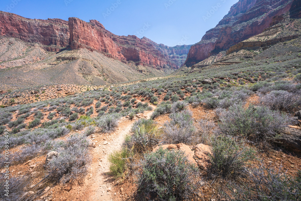 Fototapeta premium hiking the tonto trail in the grand canyon national park, arizona, usa