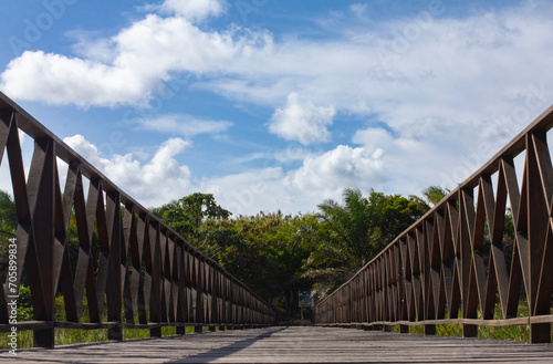 wooden bridge over river between trees with blue sky