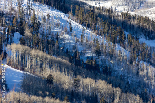 Vail Colorado Mountain Forest Landscape