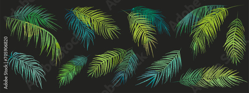 Set of hand drawn watercolor green palm leaves isolated on black background. Vector illustration of tropical leaves